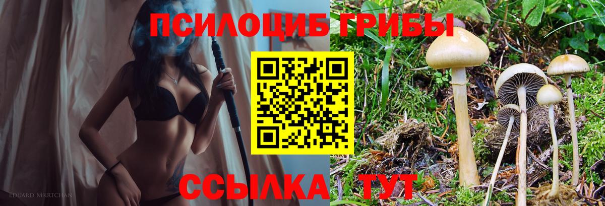 Псилоцибиновые грибы Psilocybe  Вход с VPN  Семёнов  Псилоцибиновые грибы Psilocybe 